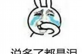 屏山屏山专业催债公司的催债流程和方法